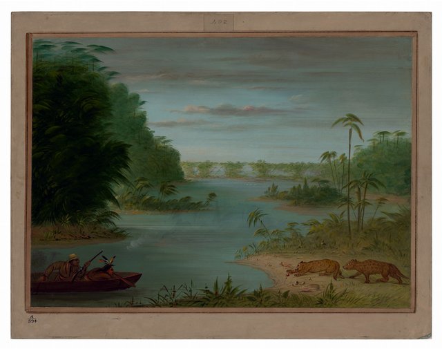 Pont de Palmiers and Tiger Shooting by George Catlin
