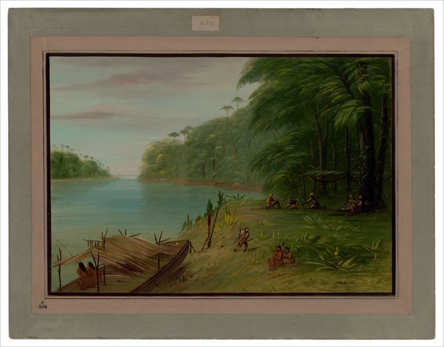 Shore of the Essequibo by George Catlin