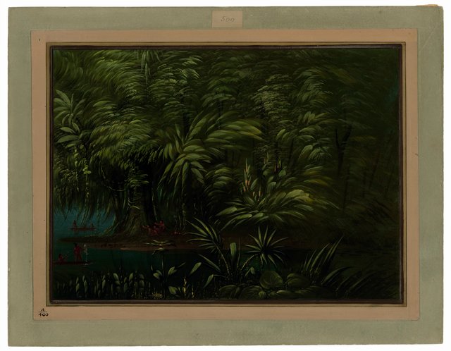 Luxuriant Forest on the Bank of the Amazon by George Catlin