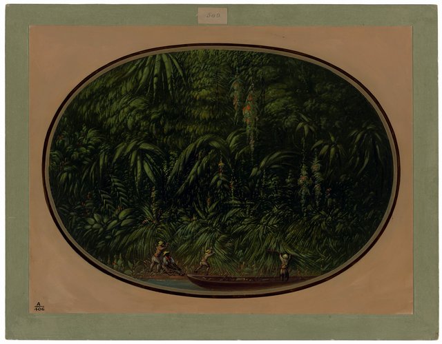 Shore of the Trombetas by George Catlin