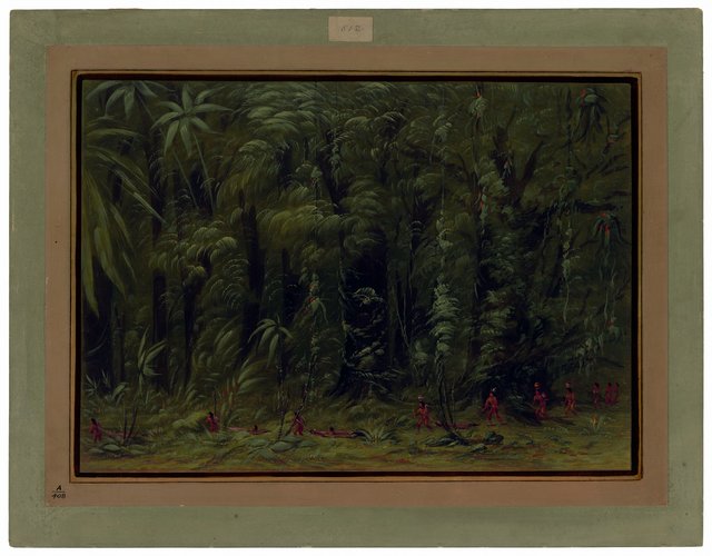 Interior of an Amazon Forest - Zurumati by George Catlin