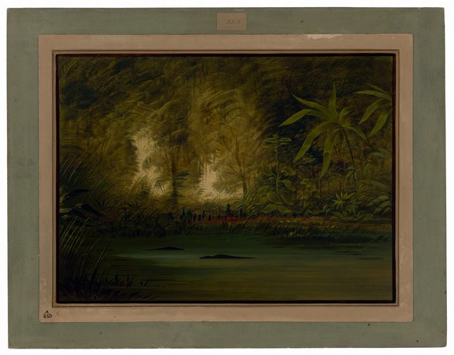 A Lagoon of the Upper Amazon by George Catlin