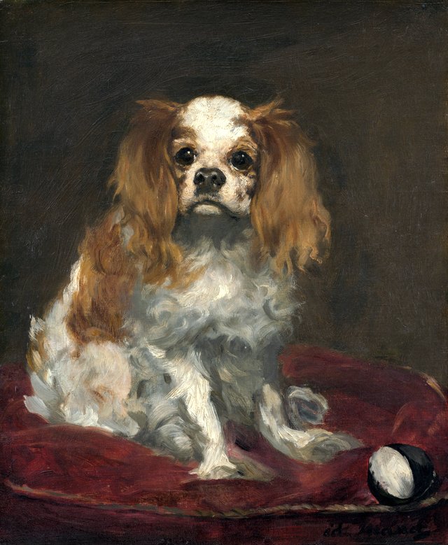 A King Charles Spaniel by Édouard Manet