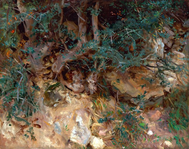 Wild Olive Tree Roots, Valldemosa, Majorca by John Singer Sargent