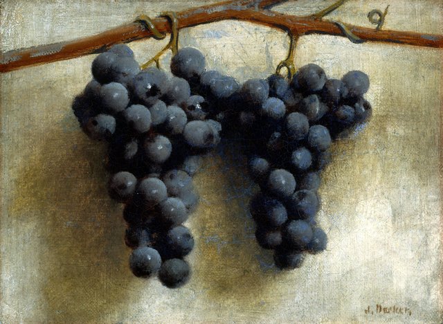 Grapes by Joseph Decker