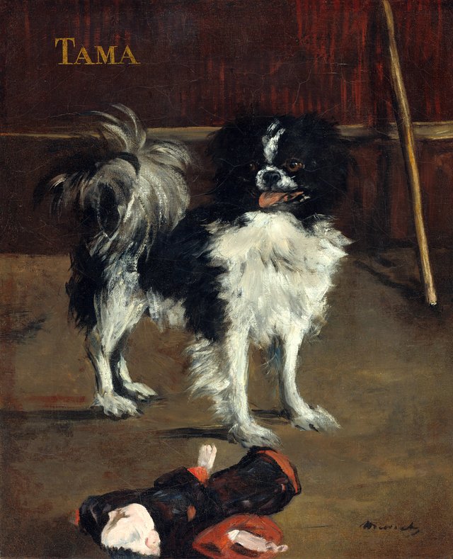 Tama, the Japanese Dog by Édouard Manet