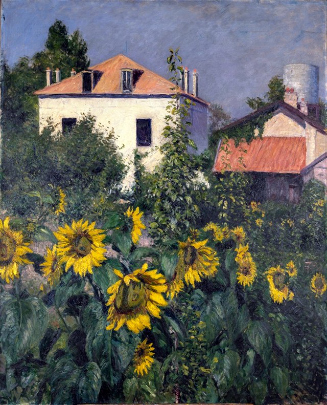 Die Sonnenblumen, Garten in Petit Gennevilliers by Gustave Caillebotte