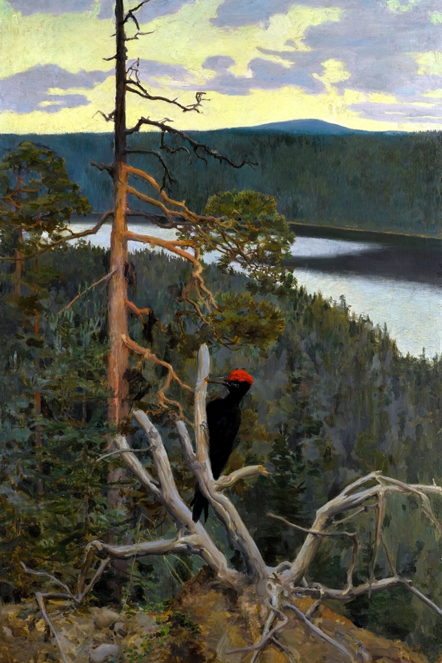 Great Black Woodpecker by Akseli Gallen-Kallela