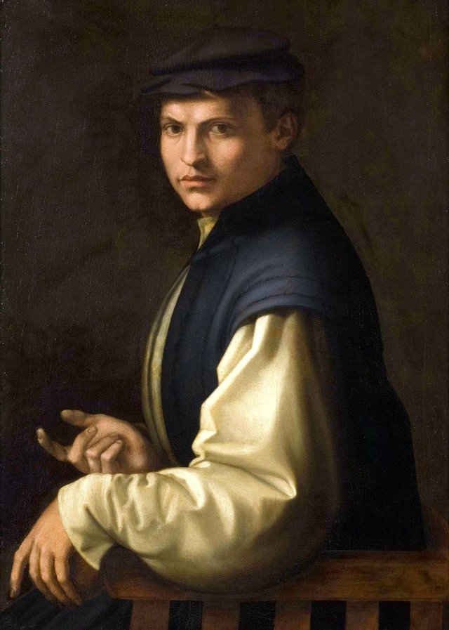 Portrait of a Gentleman by Jacopino del Conte