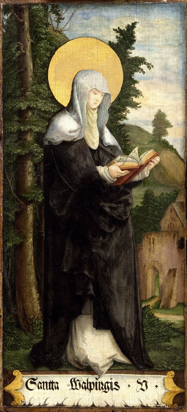 Saint Walpurgis by Master of Messkirch