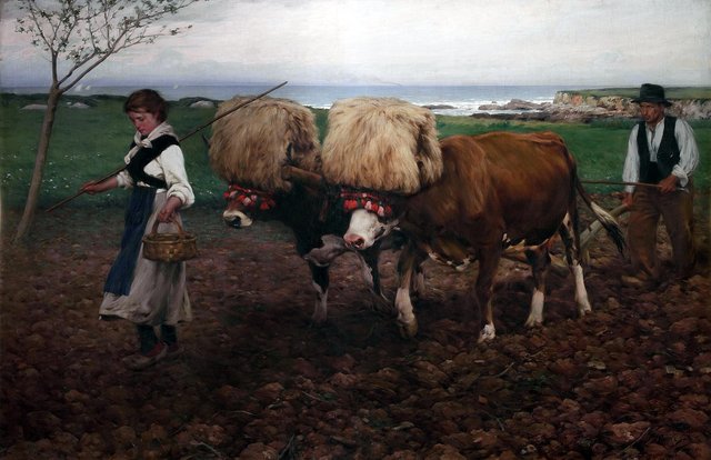Plowing the land (Asturias) by Ventura Álvarez Sala