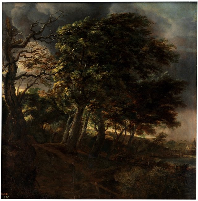 Forest by Simon de Vlieger