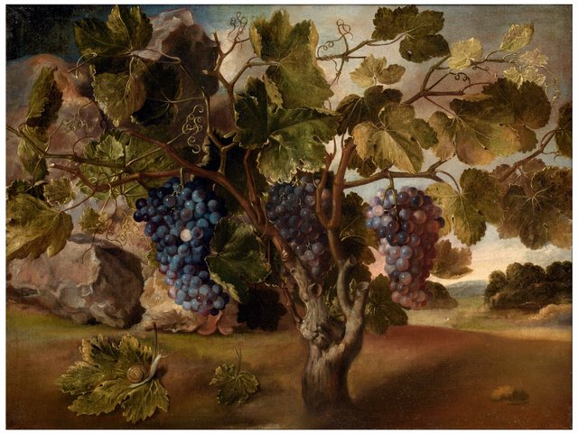 Landscape with a Vine by Tomás Yepes