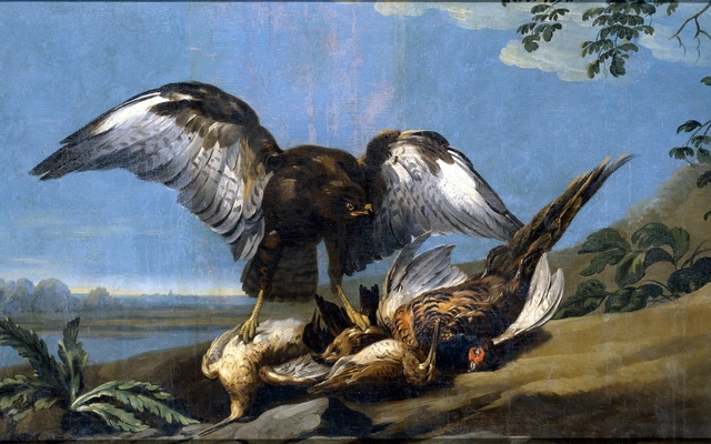 Kite with a Group of dead Birds by José del Castillo