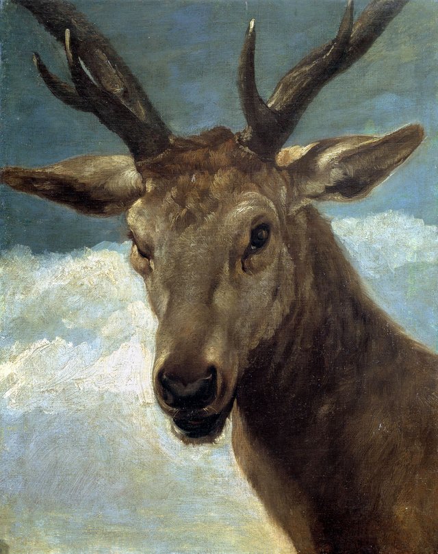 Head of a Stag by Diego Velázquez