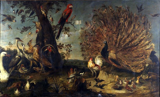 Vogelkonzert by Frans Snyders