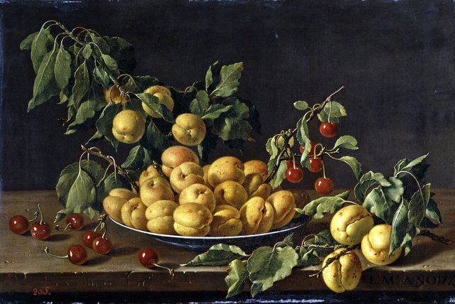 Still Life with Plate of Apricots and Morello Cherries by Luis Egidio Meléndez