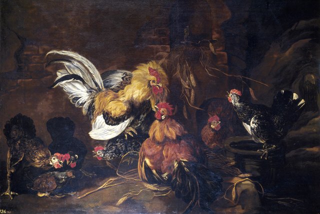 Cockfight by Jan Fyt