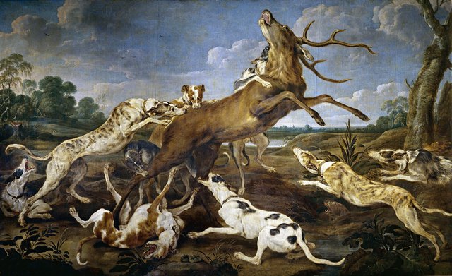 Ciervo acosado por una jauría de perros by Paul de Vos