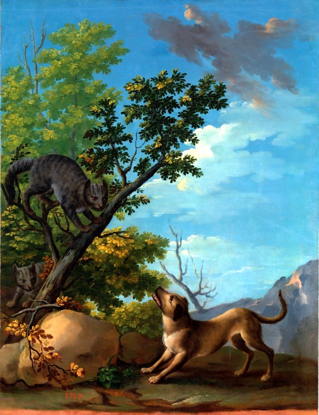 Perro y gatos by Ginés Andrés de Aguirre