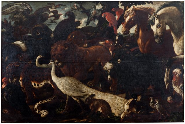 Various animals gathered before Noah's Ark by Philipp Peter Roos