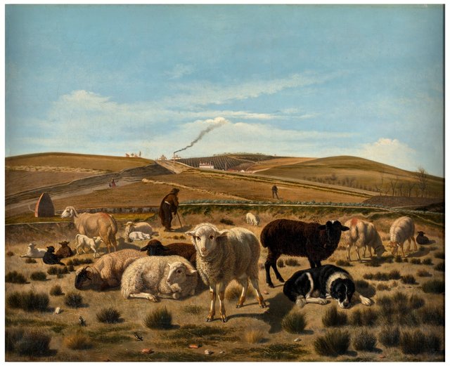 Ovejas sesteando en una junquera extramuros de la Puerta de Atocha by Mariano de la Roca y Delgado