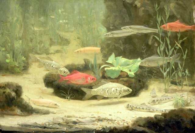 Gold- and Silverfish in an Aquarium by Gerrit Willem Dijsselhof