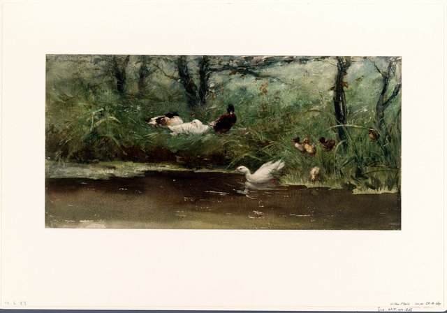 Ducks at the edge of the ditch by Willem Maris