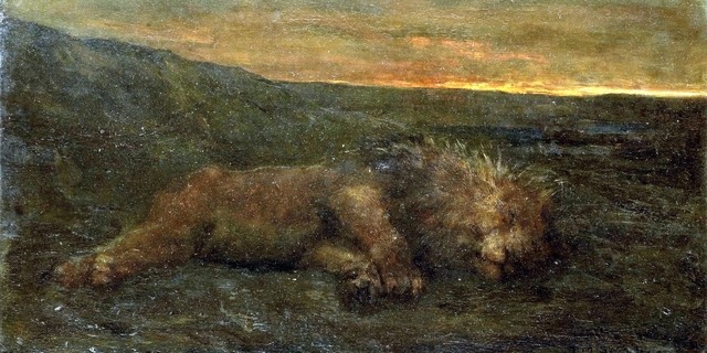 Sleeping lion at night by John Macallan Swan