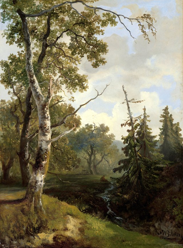 View of the Forest near Wolfheze by Johannes Warnardus Bilders