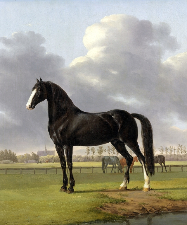 Adriaan van der Hoop’s Trotter ‘De Vlugge’ (The Fast One) in a Meadow by Anthony Oberman