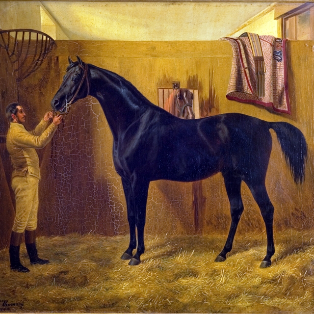 Black Comet by Fritz Thomsen