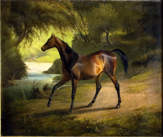 Antonia by Fritz Thomsen