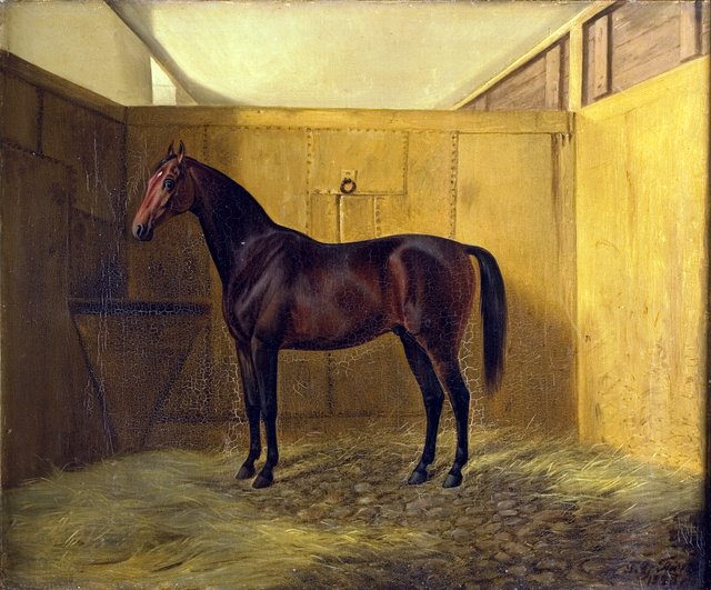 Hersilia by Fritz Thomsen