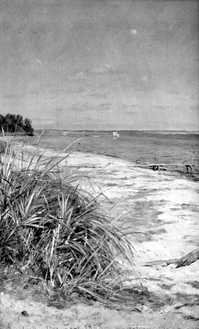 Strandparti ved Vedbæk by August Jerndorff