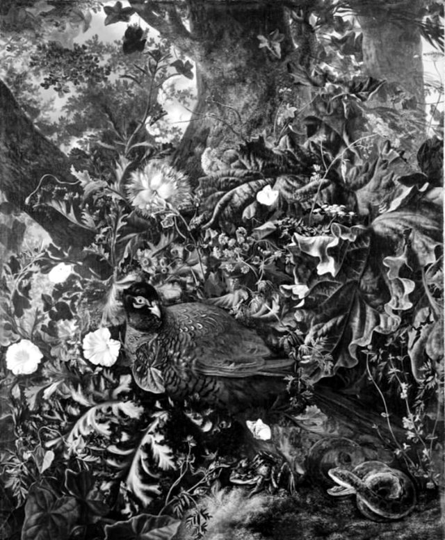En rugende fasan by Otto Marseus van Schrieck