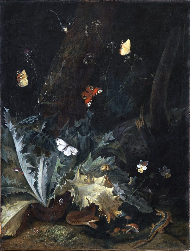Skovbund med tidsel, en slange, et firben og sommerfugle by Otto Marseus van Schrieck