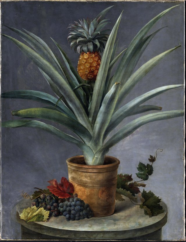 En ananas i urtepotte og druer på et stenbord by Hermania Neergaard