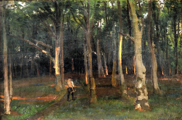 Skov ved solnedgang by Hans Smidth