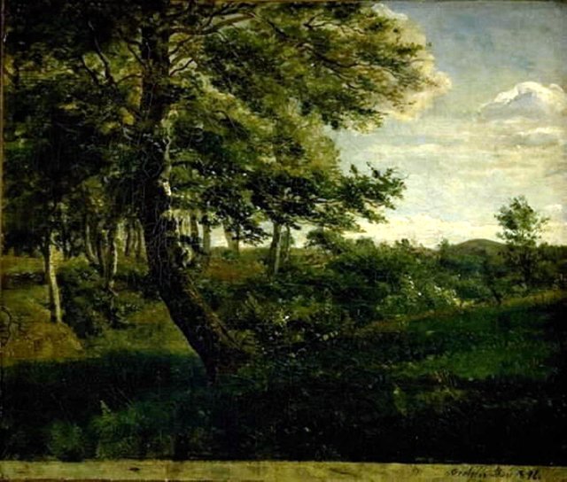 Fra Ørsbjerg skov ved Årup by Dankvart Dreyer
