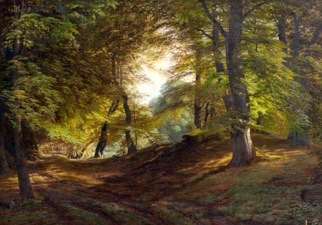 Det indre af en skov. Fra Præstevangen ved Frederiksborg by Godtfred Rump