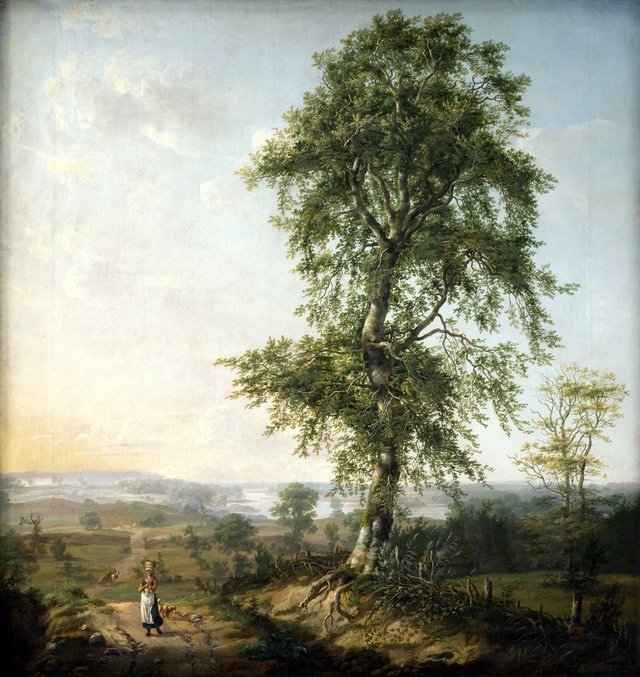 Landskab med et stort træ by Johan Christian Dahl