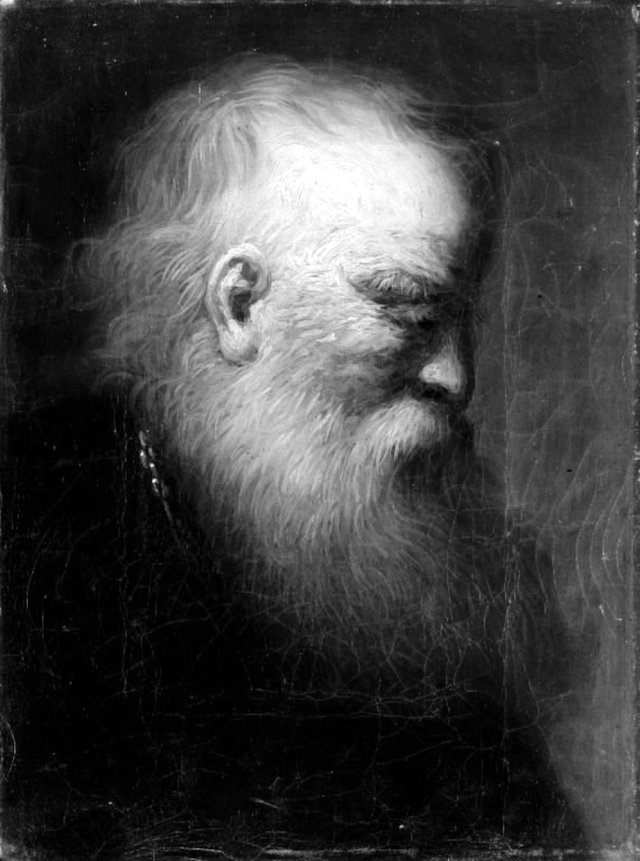 En olding by Johann Salomon Wahl