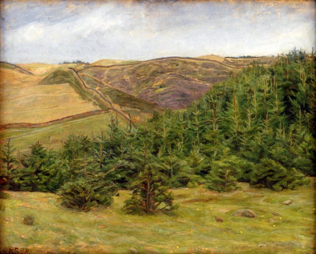Svanninge Bakker by Karl Schou