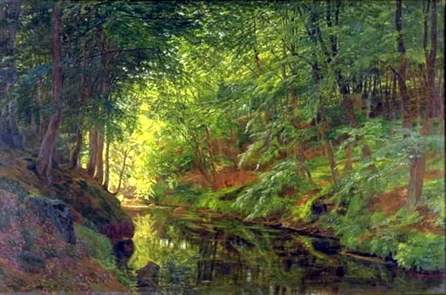 Åen i Sæbygaard skov i Vendsyssel by Godtfred Rump