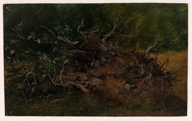 Studie af et stød by Vilhelm Petersen