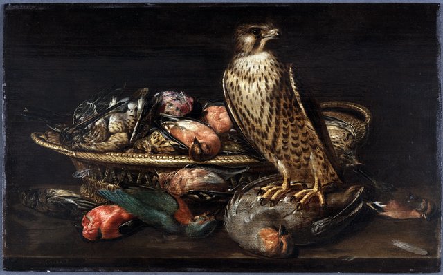 Stilleben med vandrefalk og fugle by Clara Peeters