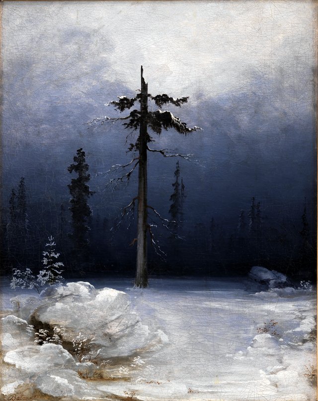 Træ i vinterskov by Peder Balke