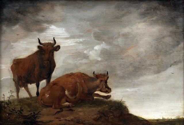 To køer på en høj by Paulus Potter