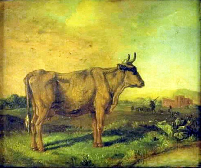 En ko by Paulus Potter
